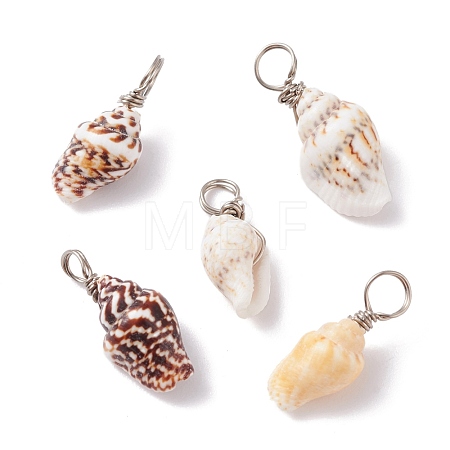 Natural Shell Pendants PALLOY-JF01164-01-1