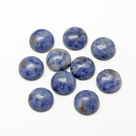 Natural Blue Spot Jasper Cabochons G-R416-16mm-45-1