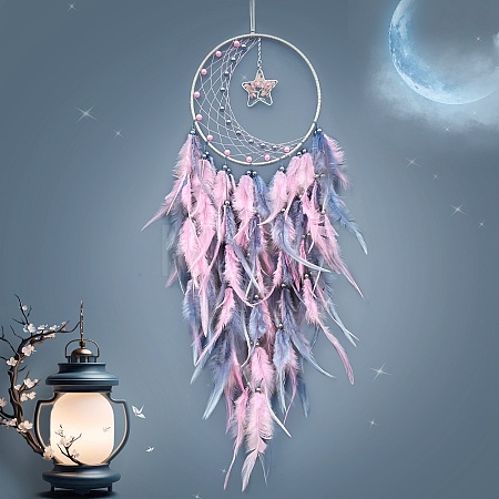 Woven Web/Net with Feather Decorations PW-WG30011-02-1