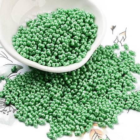 Opaque Colours Glass Seed Beads SEED-A033-06O-1