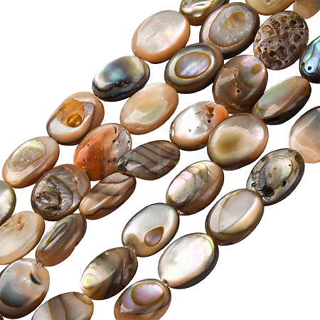 2 Strands Natural Paua Shell Beads Strands BSHE-PA0001-09-1