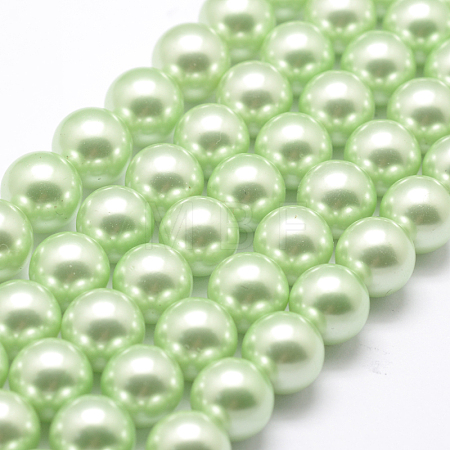 Polished Round Grade A Shell Pearl Bead Strands BSHE-M027-6mm-21-1