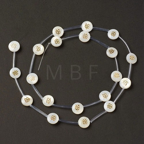 Natural Freshwater Shell Beads Strands BSHE-B005-13A-1