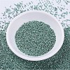 MIYUKI Delica Beads SEED-X0054-DB0416-2