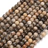 Natural Fossil Coral Beads Strands G-C288-A01-4mm-2
