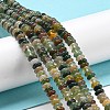 Natural Indian Agate Beads Strands G-K343-C04-01-2