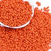 Baking Paint Glass Seed Beads SEED-K010-A10-1