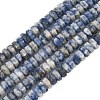 Natural Blue Spot Jasper Beads Strands G-L654-I06-01-2