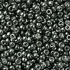 MIYUKI Round Rocailles Beads X-SEED-G007-RR1087-3