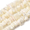 Natural White Mother of Pearl Shell Chip Bead Strands G-M205-63-2