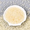 Frosted Glass Seed Beads SEED-N012-01F-2
