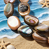 2 Strands Natural Paua Shell Beads Strands BSHE-PA0001-09-3