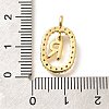 Brass Micro Pave Cubic Zirconia Pendants ZIRC-P123-01G-R02-3