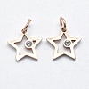 316 Surgical Stainless Steel Pendants STAS-K178-01A-RG-1