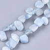 Natural Aquamarine Beads Strands G-S363-010-1