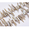 Natural Shell Beads Strands BSHE-P026-25-2