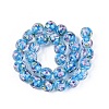 Handmade Lampwork Beads Strands LAMP-Q041-08C-2