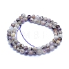 Natural Chevron Amethyst Beads Strands G-L552H-06A-4