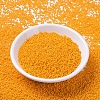 MIYUKI Round Rocailles Beads X-SEED-G007-RR4453-2