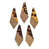 Transparwnt Resin & Walnut Wood Pendants RESI-I354-03C-1