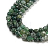 Natural Moss Agate Beads Strands G-K020-3mm-32-3