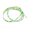 Handmade Czech Lampwork Beads Strands LAMP-L078-008-3