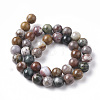 Natural Ocean Jasper Beads Strands G-F668-26-10mm-2