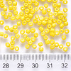 12/0 Baking Paint Glass Round Seed Beads SEED-S036-01A-05-3