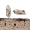 Opaque Colours Glass Seed Beads GL-CBAC3F6-01J-3