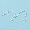 925 Sterling Silver Earring Hooks STER-D035-22S-2