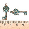 Alloy Pendants PALLOY-D313-01H-3