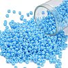 TOHO 8/0 Round Beads SEED-TR08-0403-1