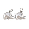 Brass Charms KK-G549-08P-1