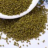 MIYUKI Delica Beads X-SEED-J020-DB2141-1