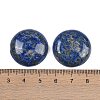 Natural Lapis Lazuli Cabochons G-H1596-FR-25mm-02-3