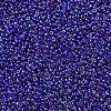 MIYUKI Round Rocailles Beads SEED-G007-RR0484-2