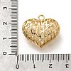 Brass with Cubic Zirconia Pendants KK-E792-30G-01-3