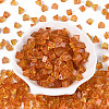 Picasso Transparent Glass Beads SEED-Q039-02M-2