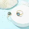 Flat Round Abalone Shell/Paua Shell Finger Rings RJEW-JR01031-5