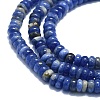 Natural Sodalite Beads Strands G-K245-B02-01-3