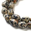 Natural Dalmatian Jasper Beads Strands G-B106-A29-01-4