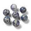 Natural Blue Spot Jasper No Hole Sphere Beads G-K353-04D-14-1