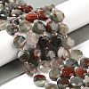 Natural Bloodstone Bead Strands G-C116-A06-01-2