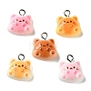 Resin Pendants RE-T001-02-1