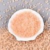 FGB Frosted Transparent Glass Seed Beads SEED-N013-05A-03-2