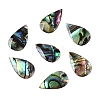 Natural Paua Shell Teardrop Cabochons SSHEL-T017-12-1