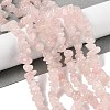 Natural Rose Quartz Chip Bead Strands G-M205-02A-2