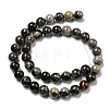 Natural Black Silver Leaf Jasper Beads Strands G-R494-A17-04-2