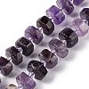 Natural Amethyst Beads Strands G-C008-B03-1