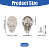 50Pcs Skull Alloy Rivets FIND-CA0011-72A-P-2